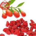 Bagas de goji secas 350 grãos ningxia goji berry